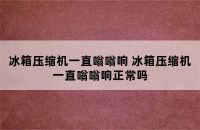 冰箱压缩机一直嗡嗡响 冰箱压缩机一直嗡嗡响正常吗